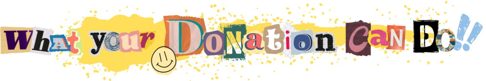 What_your_Donation_Can_do.png